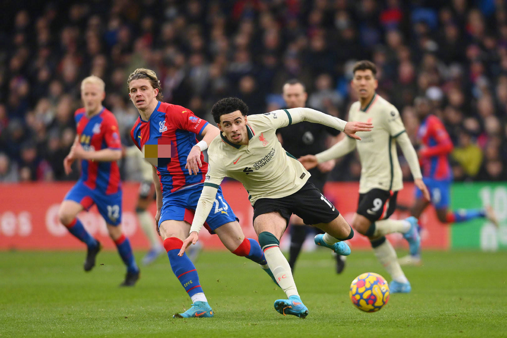 我们将探讨 我们将探讨